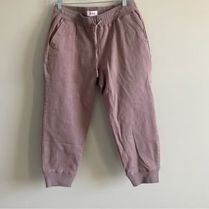 Pistola Woodrose Jogger Crop Pants Sz Large NWT